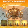 Lustaled JDE11 120V 100W Halogen Bulbs,2700K Warm White Dimmable JD