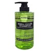 Kundal All Day Smell Cover Youth Shampoo Lime Basil & Mandarin 400ml Head Smell x2SET(SH) - Basic / 쿤달 올데이 스멜커버 청소년 샴푸 라임 바질 앤 만다린 400ml 정수리 냄새 x2SET(SH) - 기본