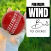 Mozi Sports Wind Cricket Balls - Indoor & Outdoor Soft