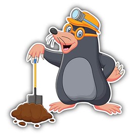 JJH Inc Magnet Cartoon Mole Flexible Vinyl Magnet Waterproof Car Magnetic Bumper Sticker 5"