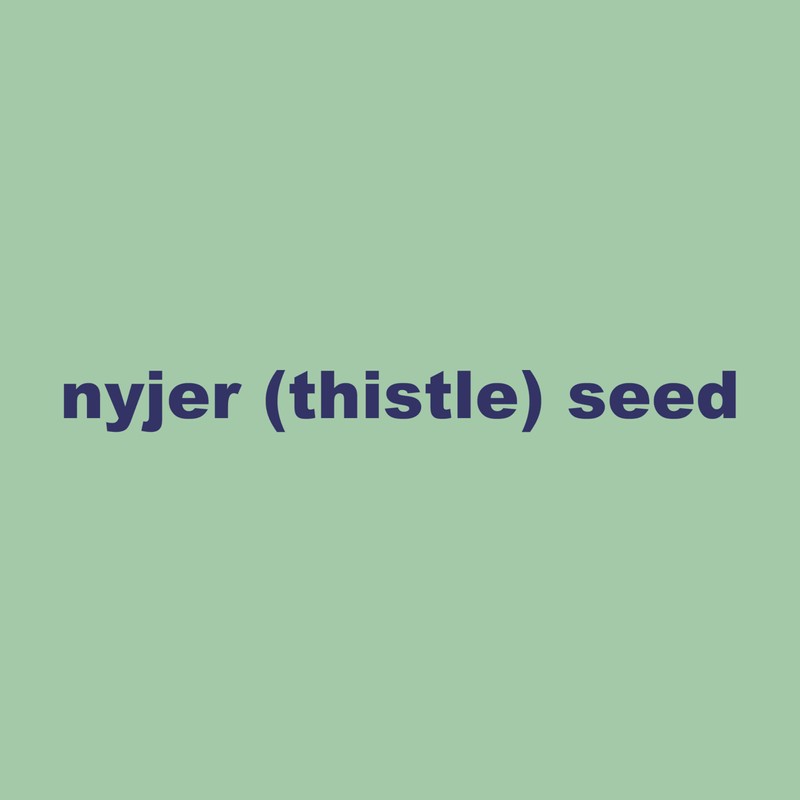 BestNest Nyjer Seed (Thistle Seed), 25 lbs.