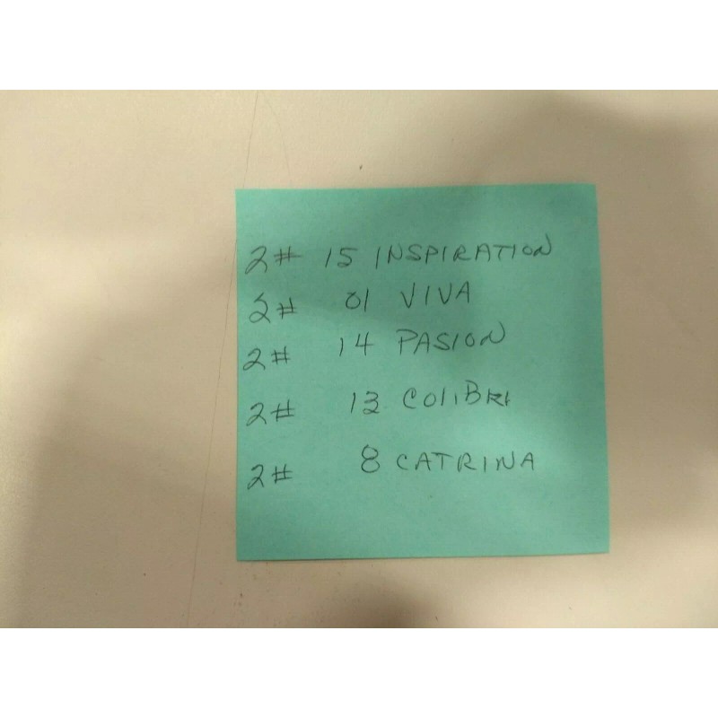 Frida Kahlo Frieda Kahlo Lipstick (VARIETY PACK OF 10)