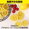 HAMILO Food Sample, Fruit, Lemon, Cut Round, Display, Set of