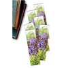 CUSTOM Set of 6 Bookmarks - Big Bend Bluebonnets -