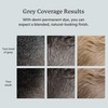 Colorsmith Hair & Beard Colour for Blending Greys 2 pack,