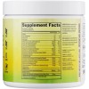 Dr. Ashley Wellness Electrolyte Plus Powder Drink Mix | Full