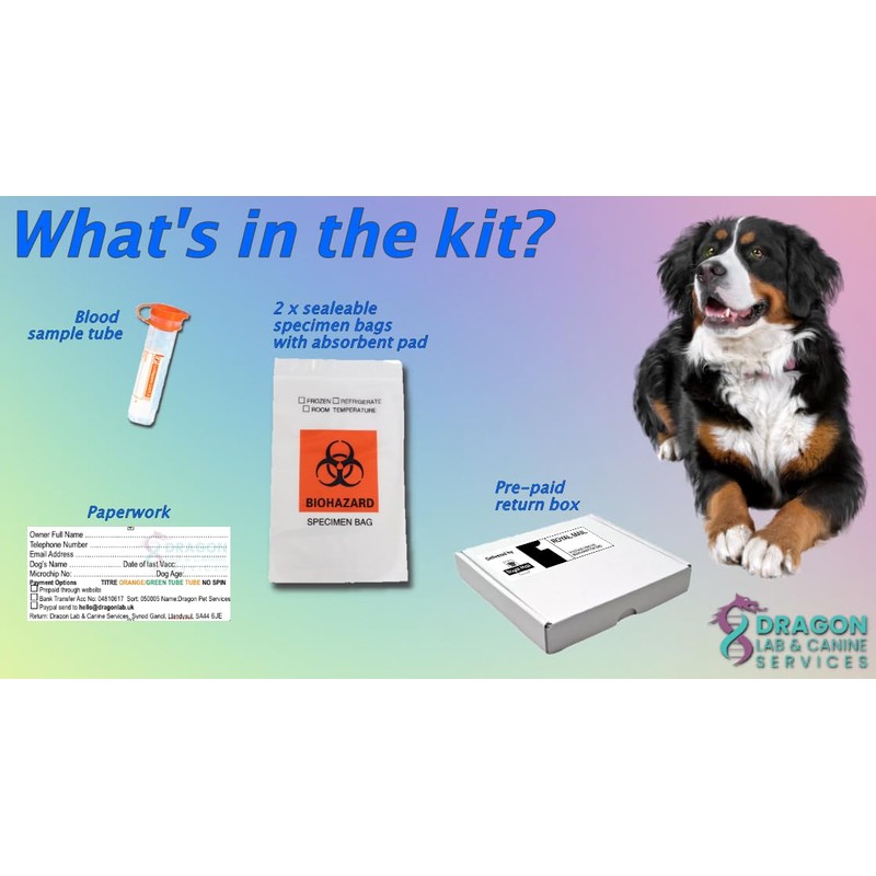 Dragon Lab & Canine Lungworm Test Kit Blood Screening for