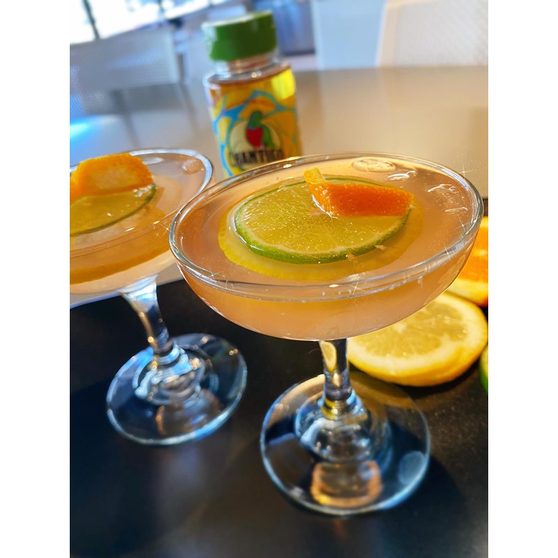 Chantico Agave Organic Sweetener (4 pack, Wild)