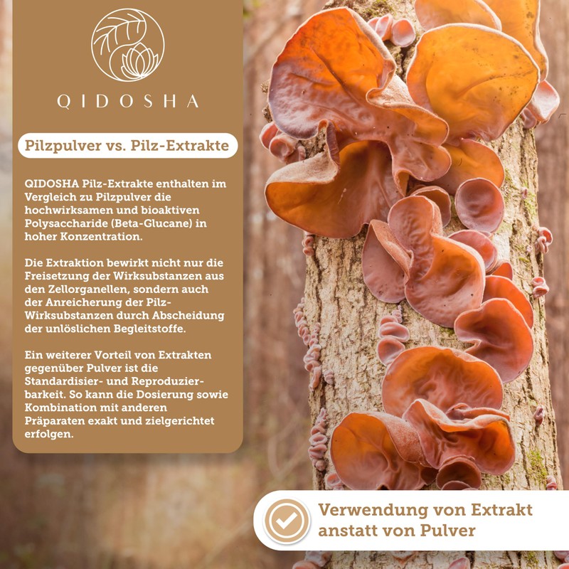 QIDOSHA® Auricularia 40:1 Extract Capsules, 180 Pieces in Pharmacist Glass,