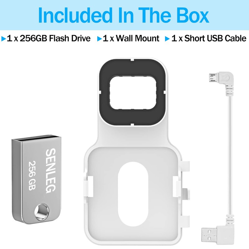 256GB Blink USB Flash Drive and Blink Sync Module 2