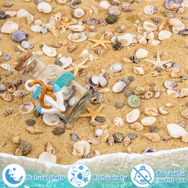 Tiny Sea Shells & 6 Starfish Decor Mixed Ocean Beach Spiral Seashells for Home Decor, Wedding,Decor, Beach Decor, Vase Filler, Ocean Theme Decor,Fish Tank, Making DIY Ornaments