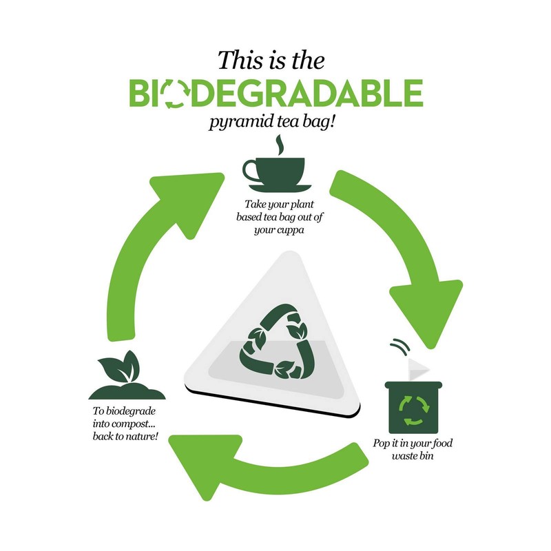 PG Tips 80 Pyramid Teabags 232 g (Pack of 6)