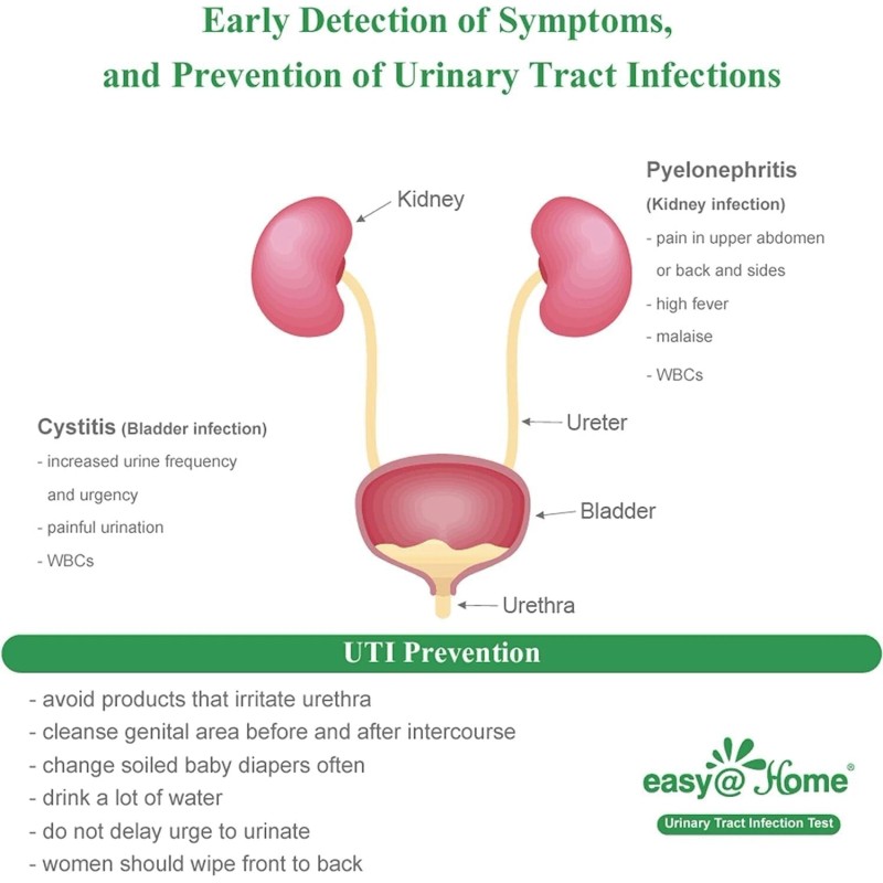 Easy@Home UTI Test Strips Urinary Tract Infection 40 Pouches/Box (UTI-40P)