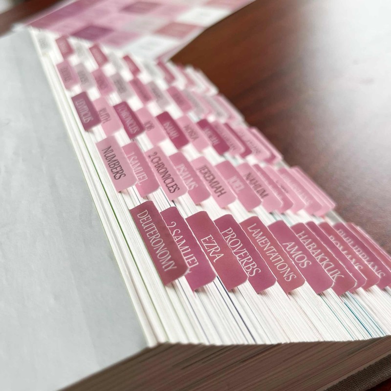 Laminated Bible Tabs, Reposition Large Print Stickers, Easy to Read