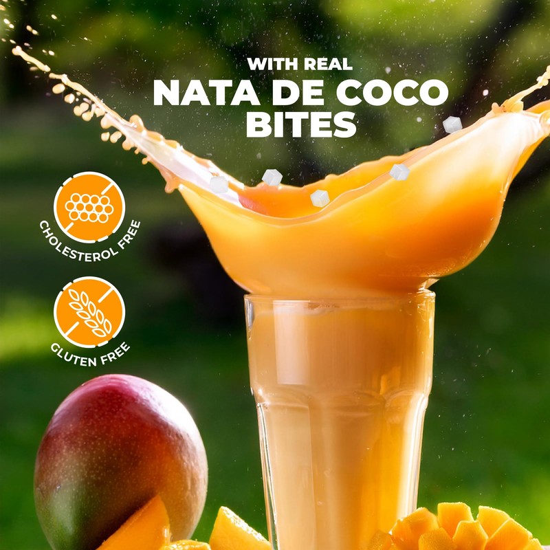 JANS - COCONUT MILK DRINK (with NATA DE COCO) 9.8