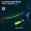 PetIsay Light up Dog Leash for Night Walking - USB