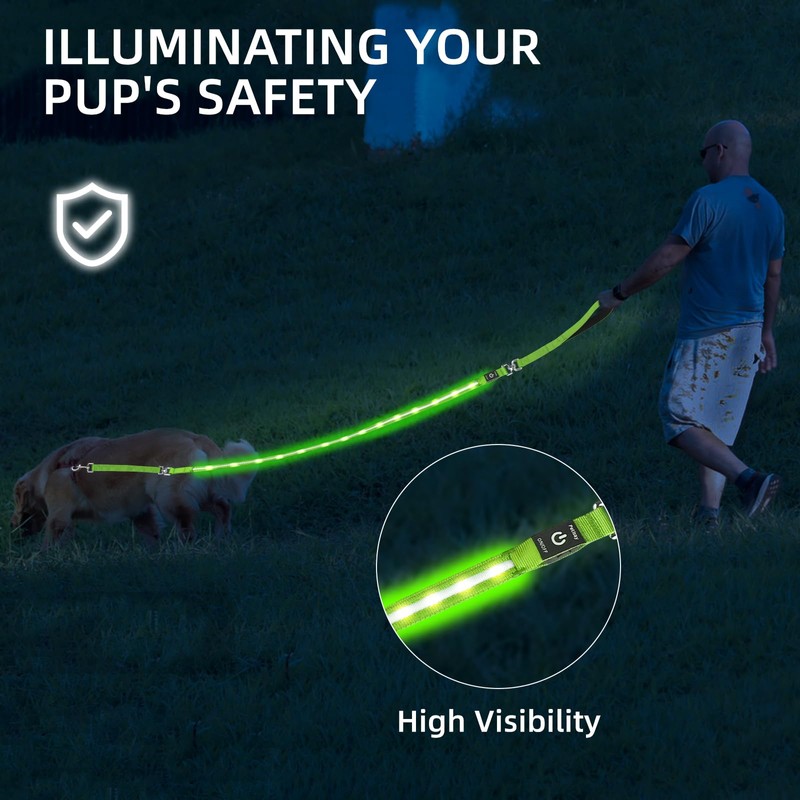 PetIsay Light up Dog Leash for Night Walking - USB
