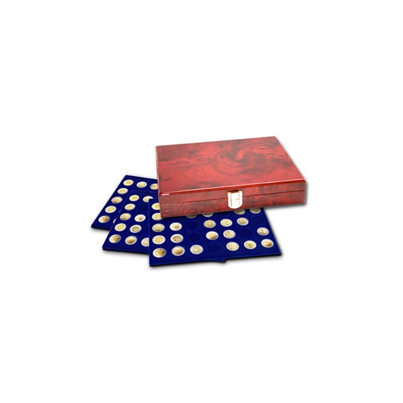 Silver Dollar Display Case