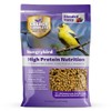 HUNGRYBIRD Energy Complete - High Protein Suet Bites - Berry