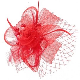 DRESHOW Fascinator Hüte für Damen Pillbox Hut mit Schleier und Gegabelten Clip Cocktail Tea Party Kopfbedeckung