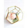 Floral Home Hira Glass Geometric Terrarium in Gold - 4.5"
