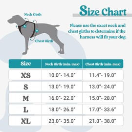 rabbitgoo Dog Harness, No-Pull Pet Harness with 2 Leash Clips, Adjustable Soft Padded Vest, Reflective No-Choke Pet Oxford Vest with Easy Control Handle for Small Dogs, Teal, XS
