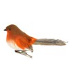Gisela Graham : Feather Robin on Clip