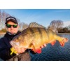 Savage Gear Perch Pro Kit Medium 20pcs Perch Pro Kit