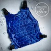 Alphacool Polar Cooling Vest for Men Women - Cooling Ice