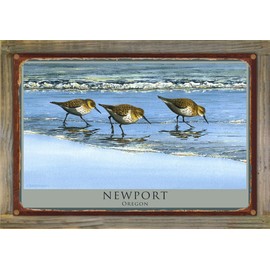 Northwest Art Mall Newport Oregon Birds At Beach Rustic Metal Print on Reclaimed Barn Wood from Watercolor by Artist Dave Bartholet 11.5" x 17.5"