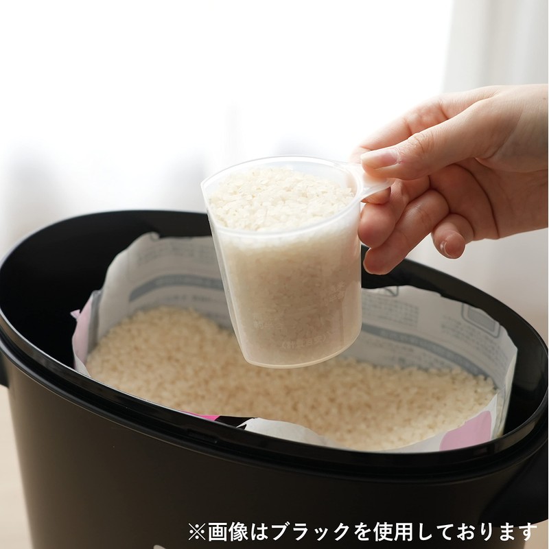 Pearl Metal Rice Box, Made in Japan, 11.0 lb (5
