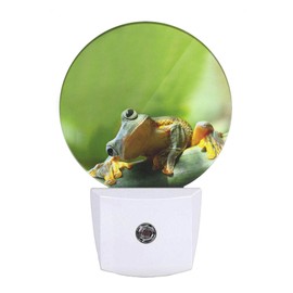 EKOBLA Cute Frog Night Lights Plug into Wall Green Frog Pond Animal Summer Night Lamp Home Auto Sensor LED Dusk to Dawn Light for Bedroom Bathroom Kitchen Corridor