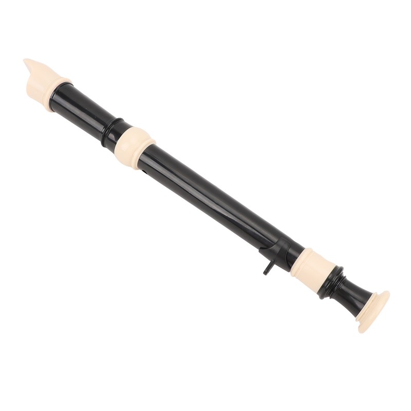 8 Hole Recorder Detachable Soprano Recorder Musical Instrument with Cleaning