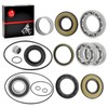 Rear Differential & Axle Bearing and Seal O Ring Kit