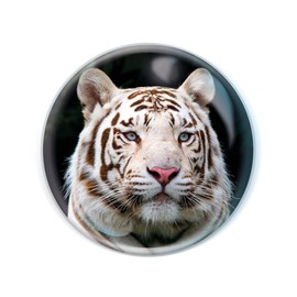 Deluxebase Magnidome - White Tiger White Tiger Crystal Glass Fridge Magnet for Kids Excellent Domed Magnets for Home Decoration and Accessories