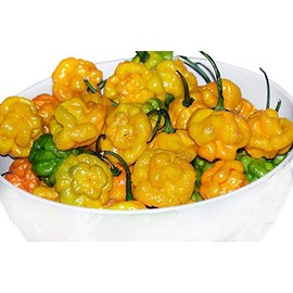 30+ Yellow Scotch Bonnet Jamaican Hot Pepper Seeds Heirloom Non-GMO Spicy, from USA