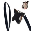 Sugar Gliders Harness Leash Set, 3 Pack Harness and Leash