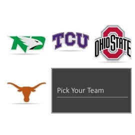 Rico Industries Texas Tech Red Raiders Pennant  Primary Logo 18 Inch Soft Felt University of