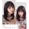 AQUADOLL wg352MBK Medium Semi-Long Layered Inner Mesh Full Wig, One