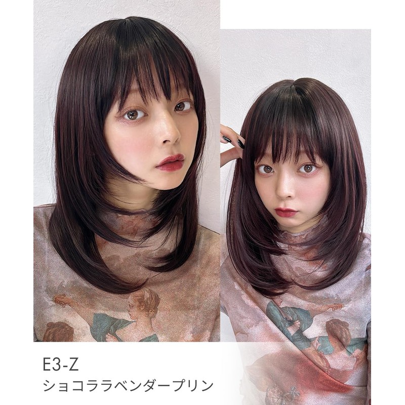 AQUADOLL wg352MBK Medium Semi-Long Layered Inner Mesh Full Wig, One