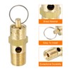 PATIKIL 1/4 Male NPT Safety Valve 1 Pack Pressure Release