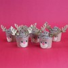 PME Cupcake Decorating Kit with Edible Toppers, Reindeer