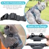 Adjustable Cat Harness, Escape-Proof, Cat Harness with Lead Set, Soft