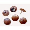 1 1/2 Inch, Round Hammered Clavos, Solid Copper, Decorative Door