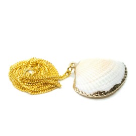 Miniblings Shell Necklace 60 cm Pendant Necklace Sea Beach Boho White Gold - Handmade Fashion Jewellery - Link Chain Gold-Plated, Real shell with gold-plated details
