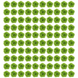 Shapenty 1.5cm Mini Satin Ribbon Roses Flowers for Sewing Dress Craft Project Scrapbooking Valentine’s Day Wedding Birthday Christmas Ornament Embellishment Gift Decor Wrapping, 100PCS (Light Green)