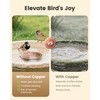 Wtoolfex Bird Bath Copper Disk, 2pcs Reinforced 99.99% Pure Copper