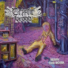 Necrotic Flesh Bacteria