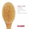 Kent FD10 Ashwood Back Scrubber for Shower Bath Brush and