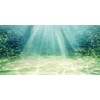 MIRRORANG 91x41cm Aquarium Background Aquatic Plant Bubble Underwater Ocean Floor